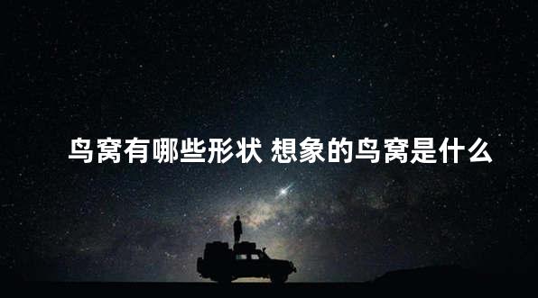 鸟窝有哪些形状 想象的鸟窝是什么形状